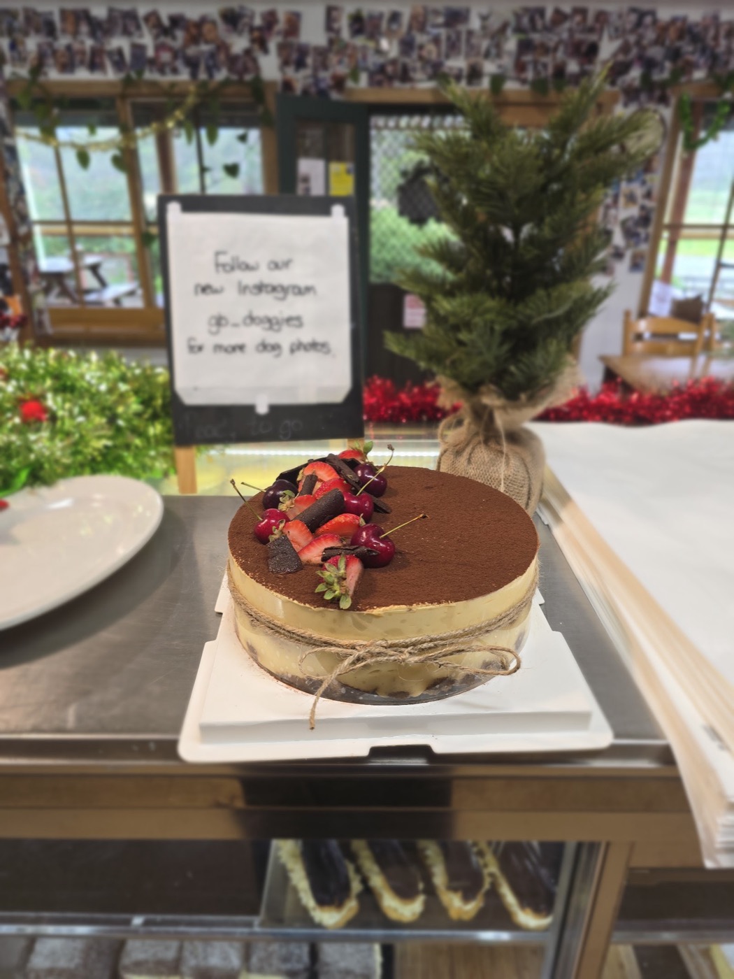 A round cake dusted with cocoa and topped with fresh berries, on a white board in the kitchen
